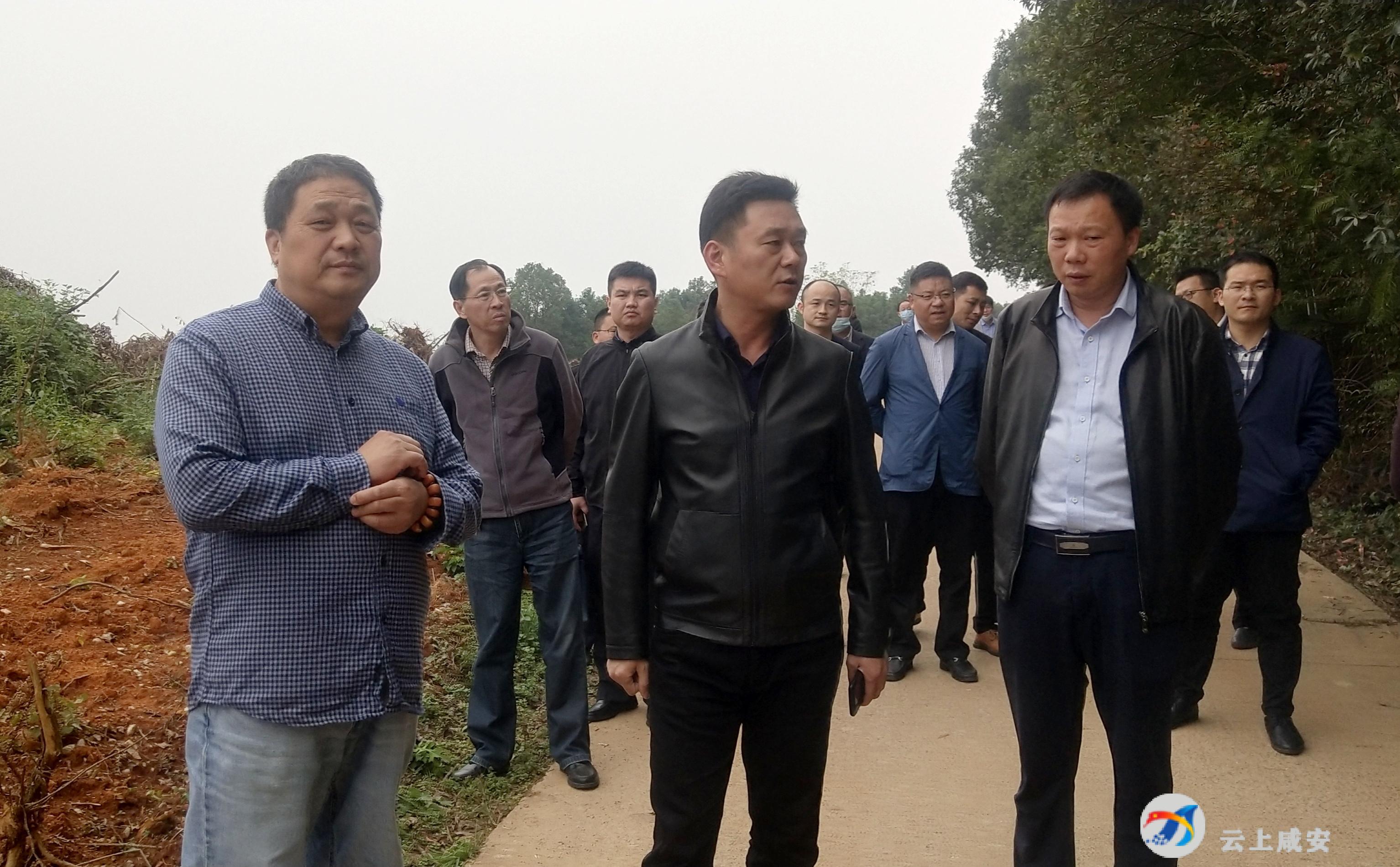 魏朝东调研湖北原乡假日小镇项目推进情况-咸安区人民